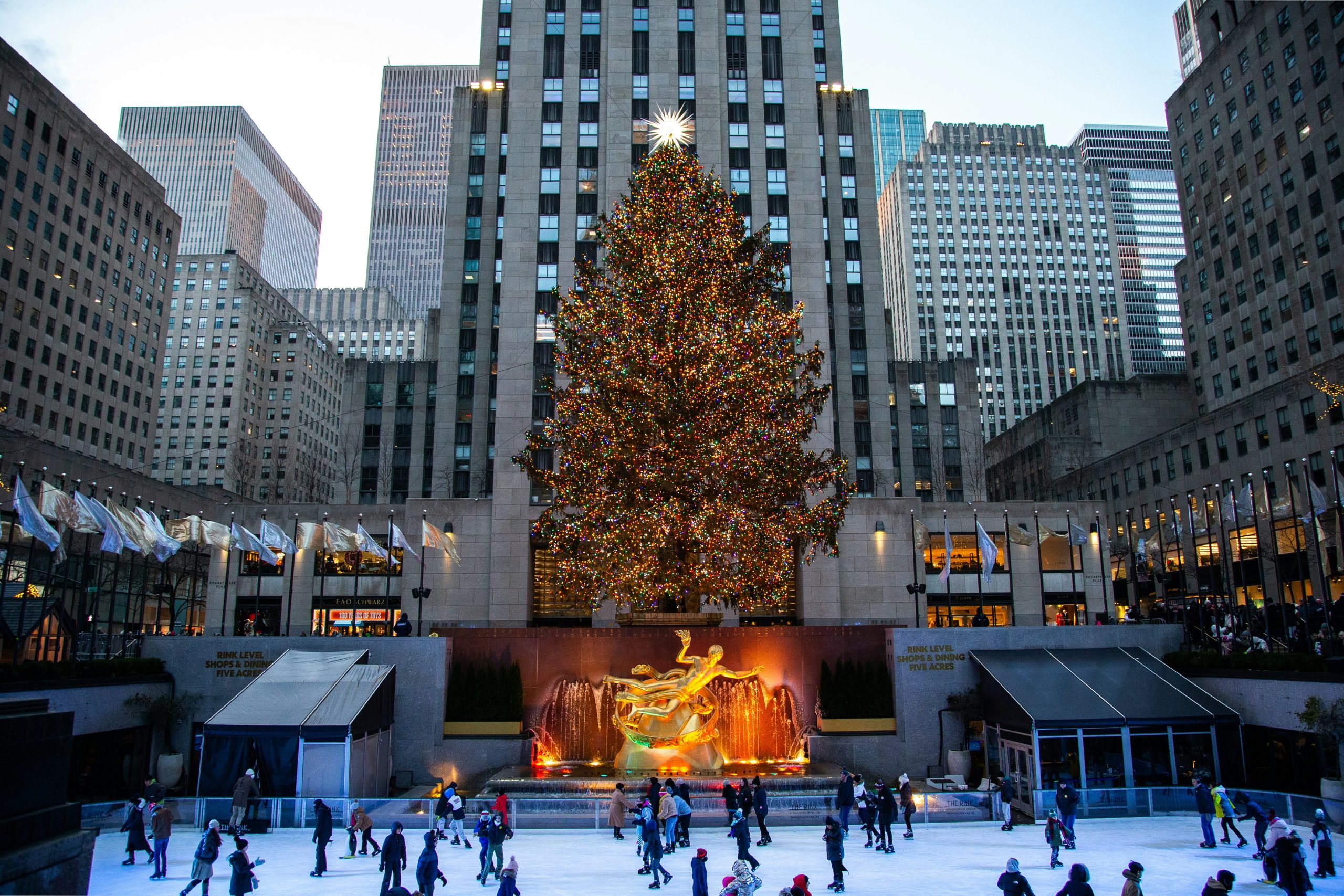 A Rockefeller karácsonyfa 2024: New York ikonikus ünnepi fényei. Idén más lesz!